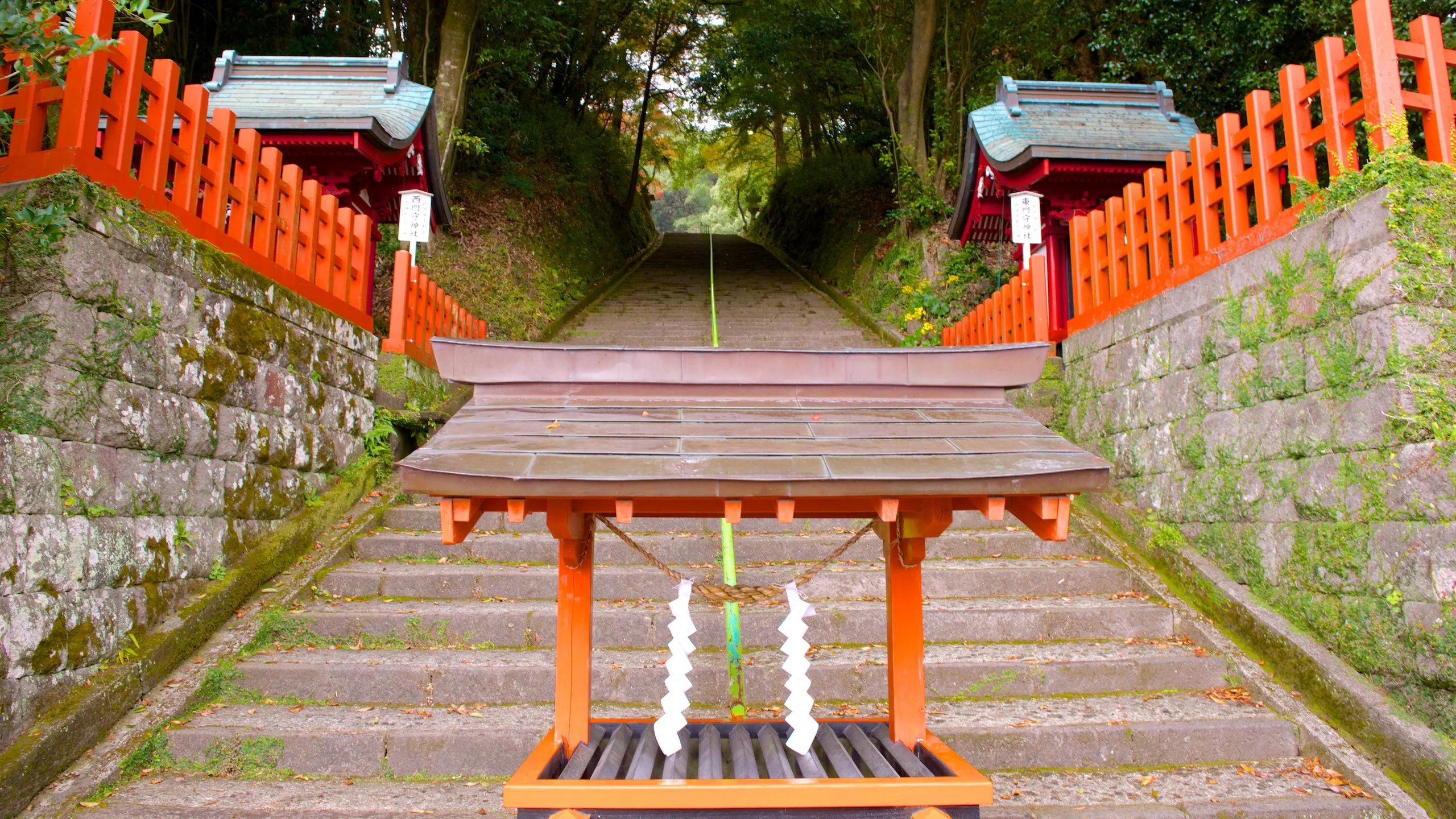 ⛩️ 닛타 신사